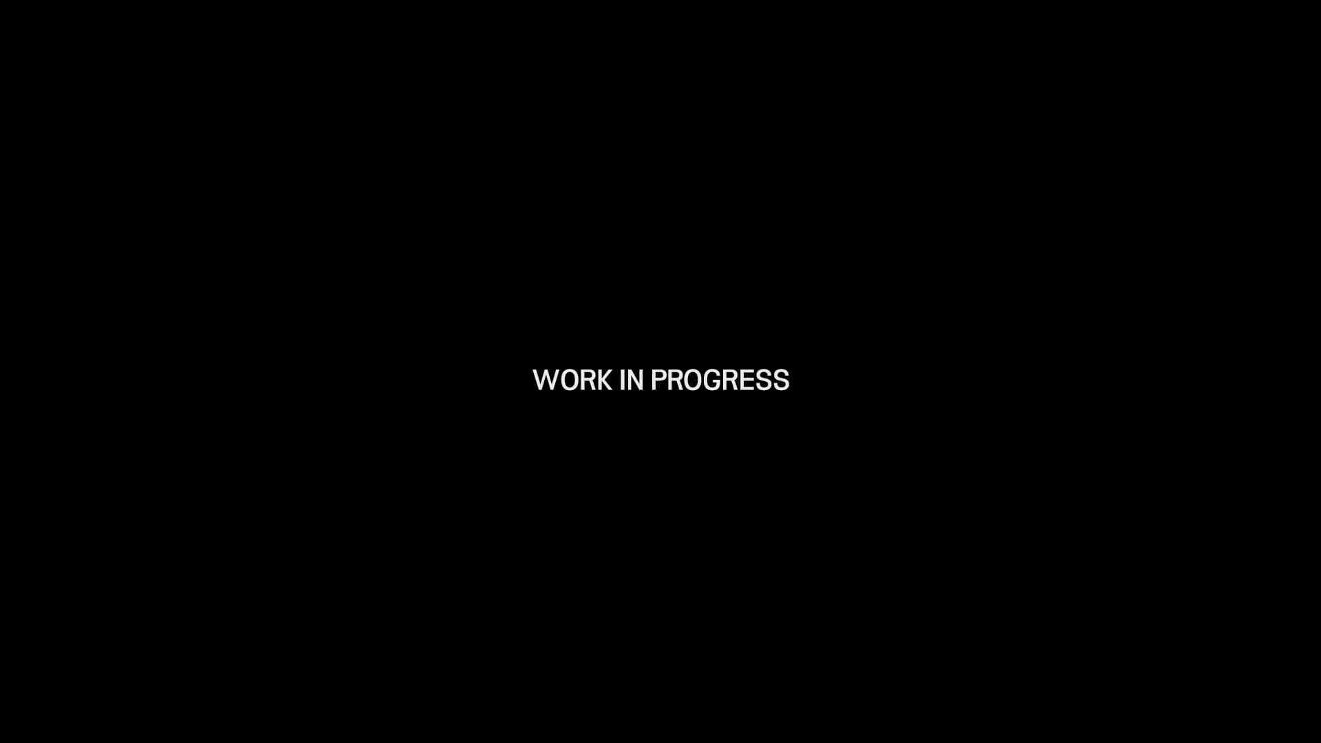Exhibition view — Work in progress 1